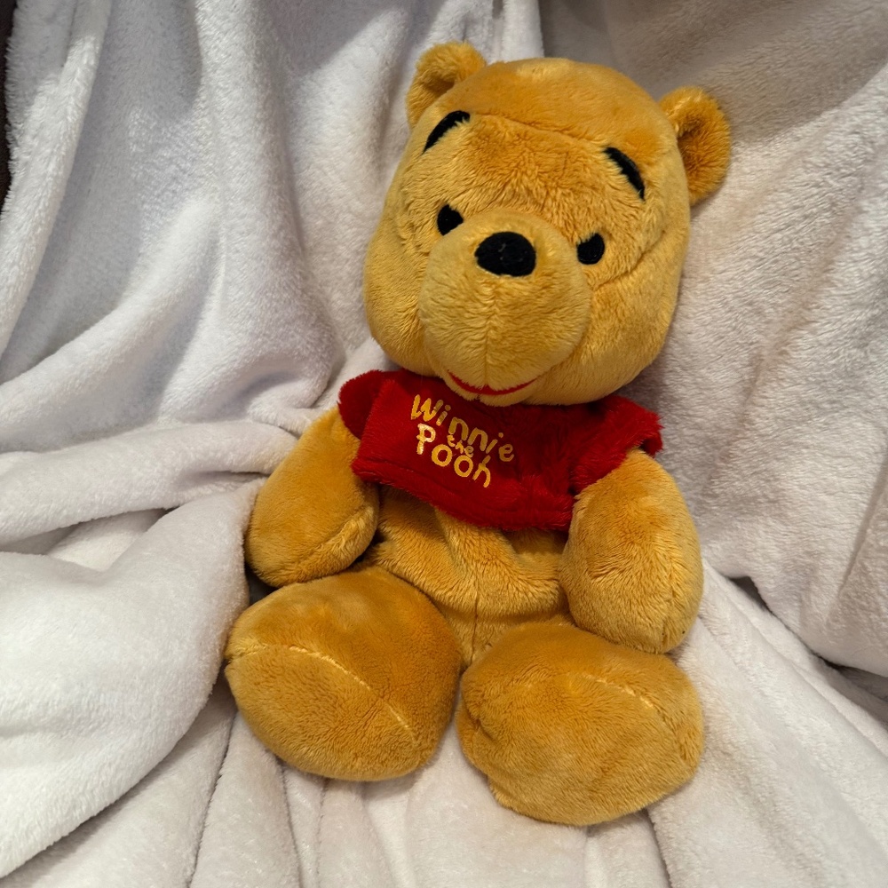 An original Winnie the Pooh plush